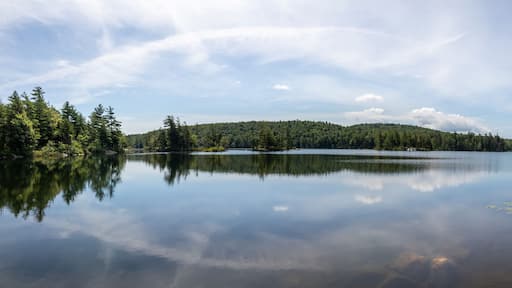 エンフィールド