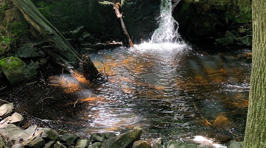 Little Dog Falls a shirt distance from the top of the hill and Smith Pond.
Although only 2+ miles it takes about 2 hours to climb the north Shaker Forest Trail due to the steep and narrow trail.
# TakeAHike
# Nature