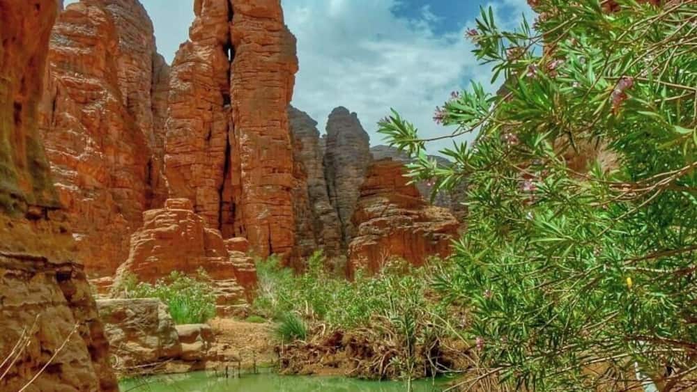 Un canyon aux parois de roche rouge imposantes, avec un petit étang verdoyant.