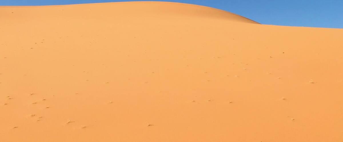 During my trek in the Sahara desert in Algeria, I felt so small between the dunes!
Silence and sand were my only companion during that trek! beauty of the desert is speechless!! #lifeatexpedia