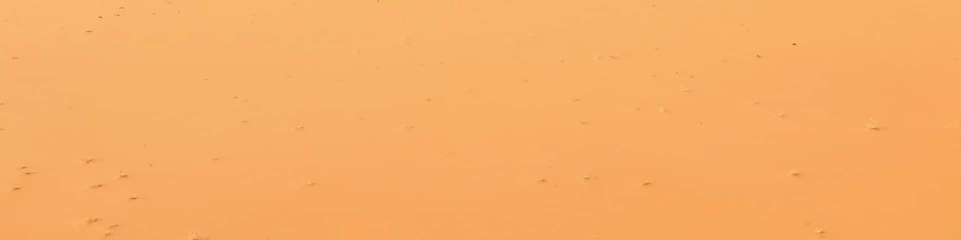 During my trek in the Sahara desert in Algeria, I felt so small between the dunes!
Silence and sand were my only companion during that trek! beauty of the desert is speechless!! #lifeatexpedia