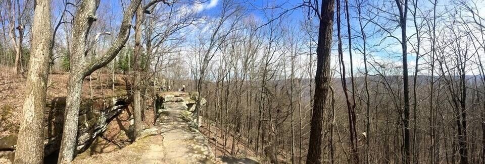 The Natural bridge is a nice feature just seconds from the parking lot. 