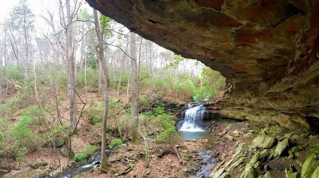 Tom Pack falls is a .5 mile hike from the Lake Rd camp site. There is primitive car camping at this location. There were locals hanging out till dark, but we ended up having a the entire camp to ourselves. Great campsite and short hike!!!