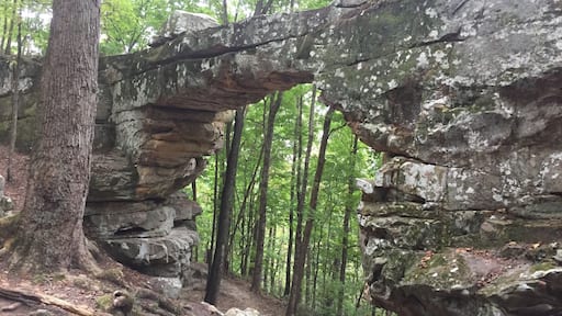 Natural Bridge near Monteagle, TN.