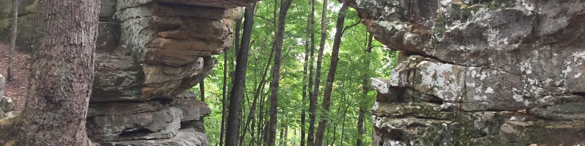 Natural Bridge near Monteagle, TN.