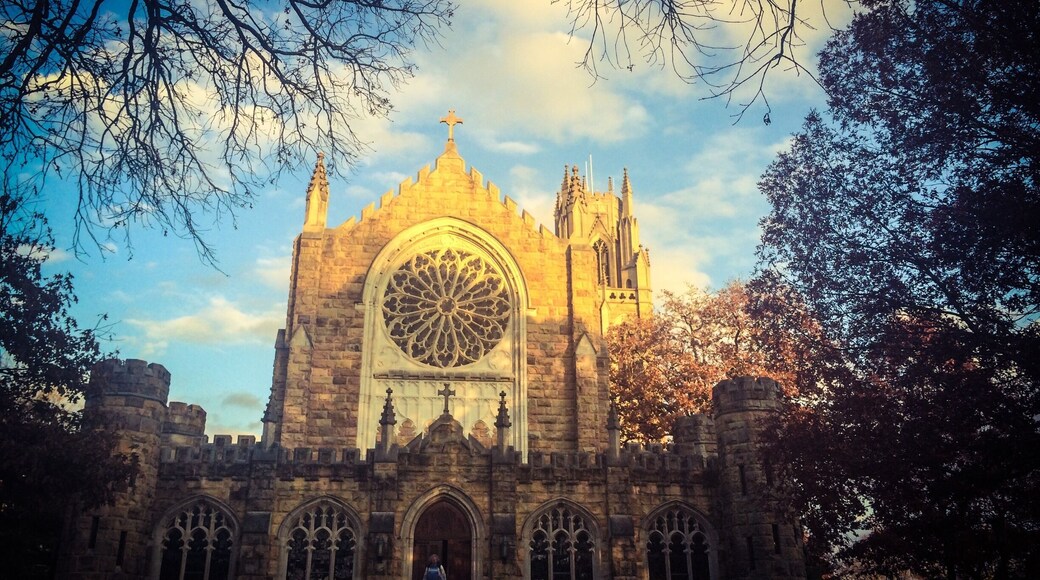 Built in the mid 1800s, this liberal arts college features gothic architecture thru out the campus. This university was founded by delegates of ten dioceses of the Episopal Church from AL, FL, GA, TX, MS, NC, SC, TN, LA, & AR wanting to create a Southern university free of Northern influences.