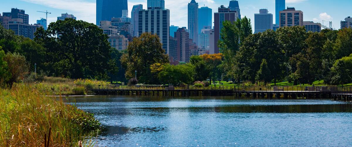 Chicago Skyline viewed from South Pond in Lincoln Park