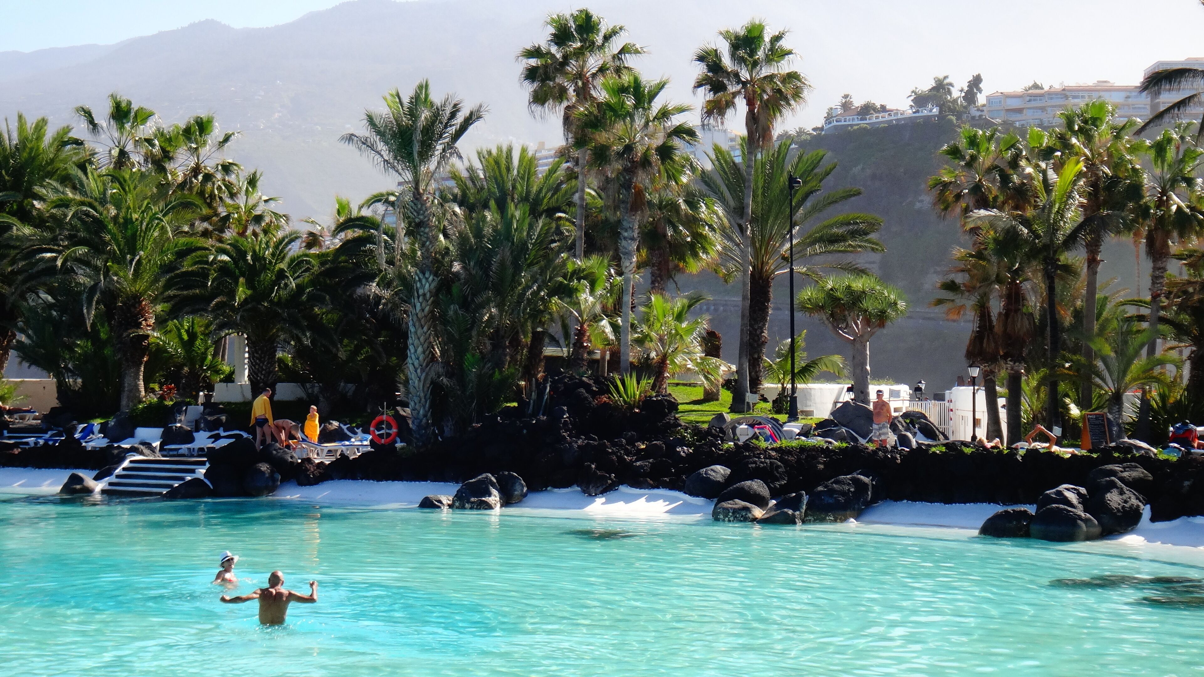 A clear turquoise pool surrounded by palm trees and rocks.