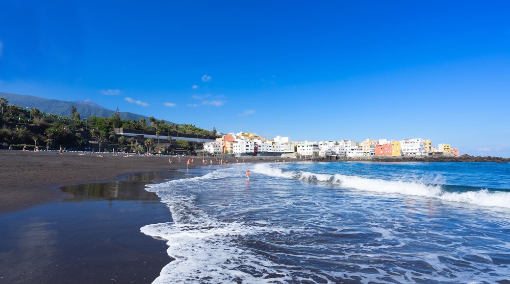 بويرتو دي لا كروز