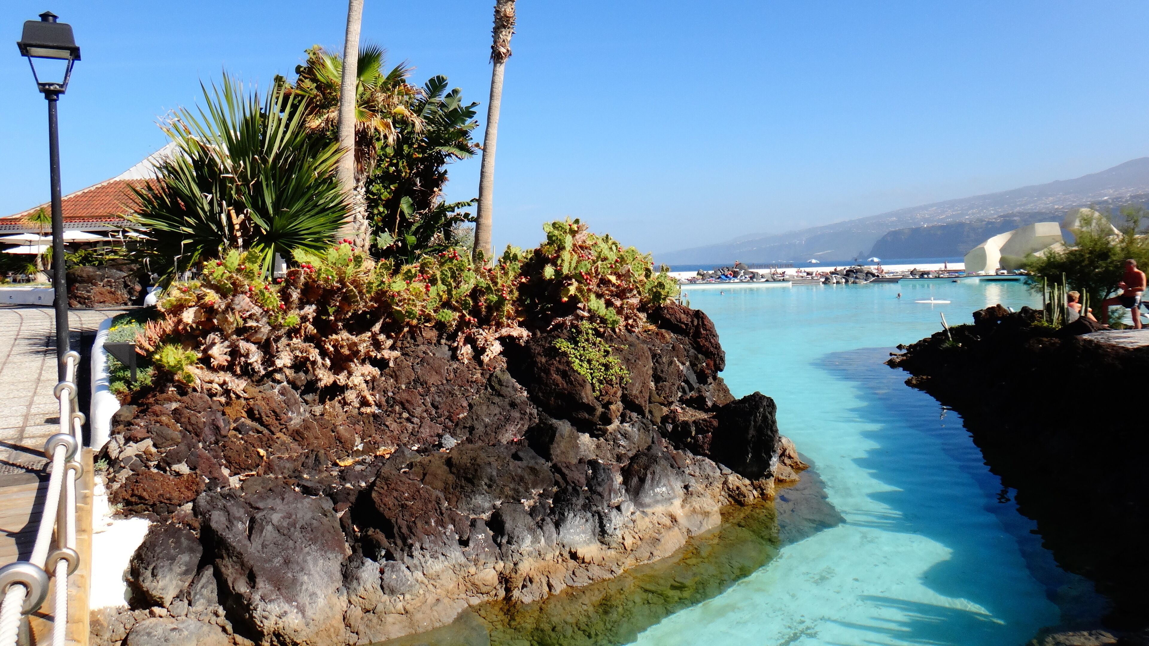 A coastal landscape with a clear blue pool, rocky terrain, and palm trees.