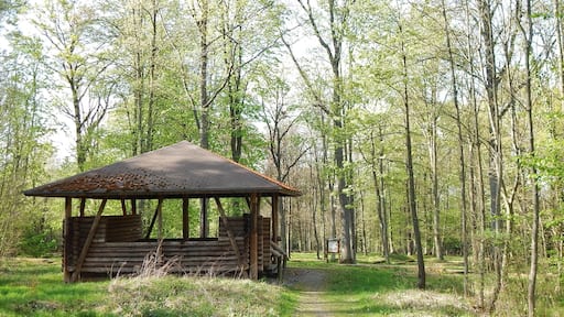 Alexander-Wellendorf-Hütte, 1979