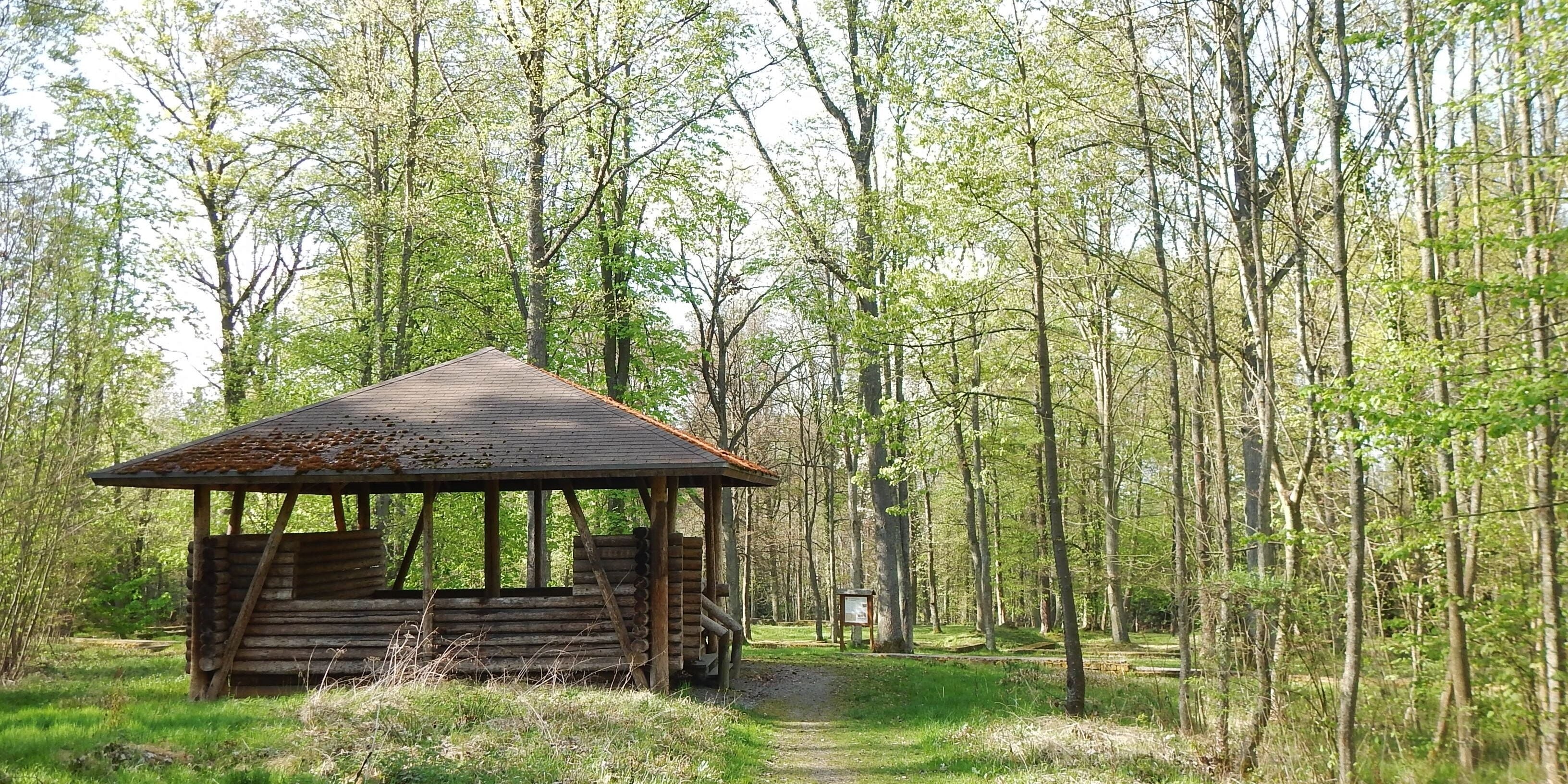 A rustic wooden gazebo in a forested area.