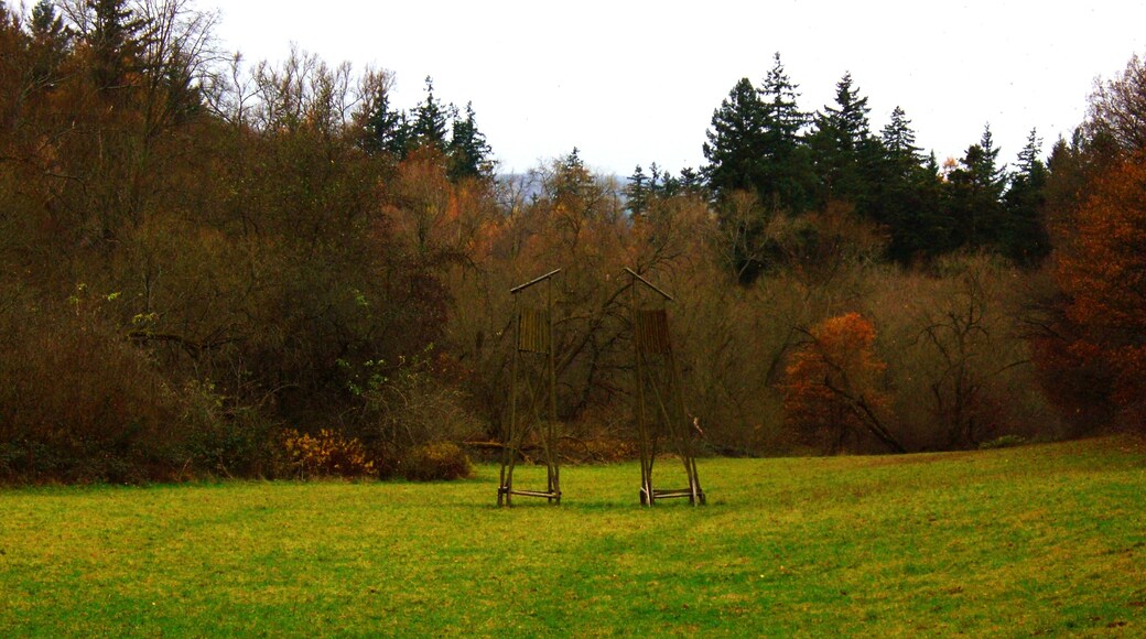Treffen Sich Zwei Jäger, Beide Tot.