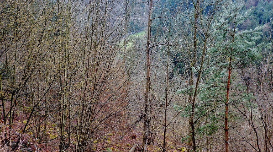 Ausblick vom Schwarzwald-Schwäbische-Alb-Allgäu-Weg (HW 5) in das Würmtal