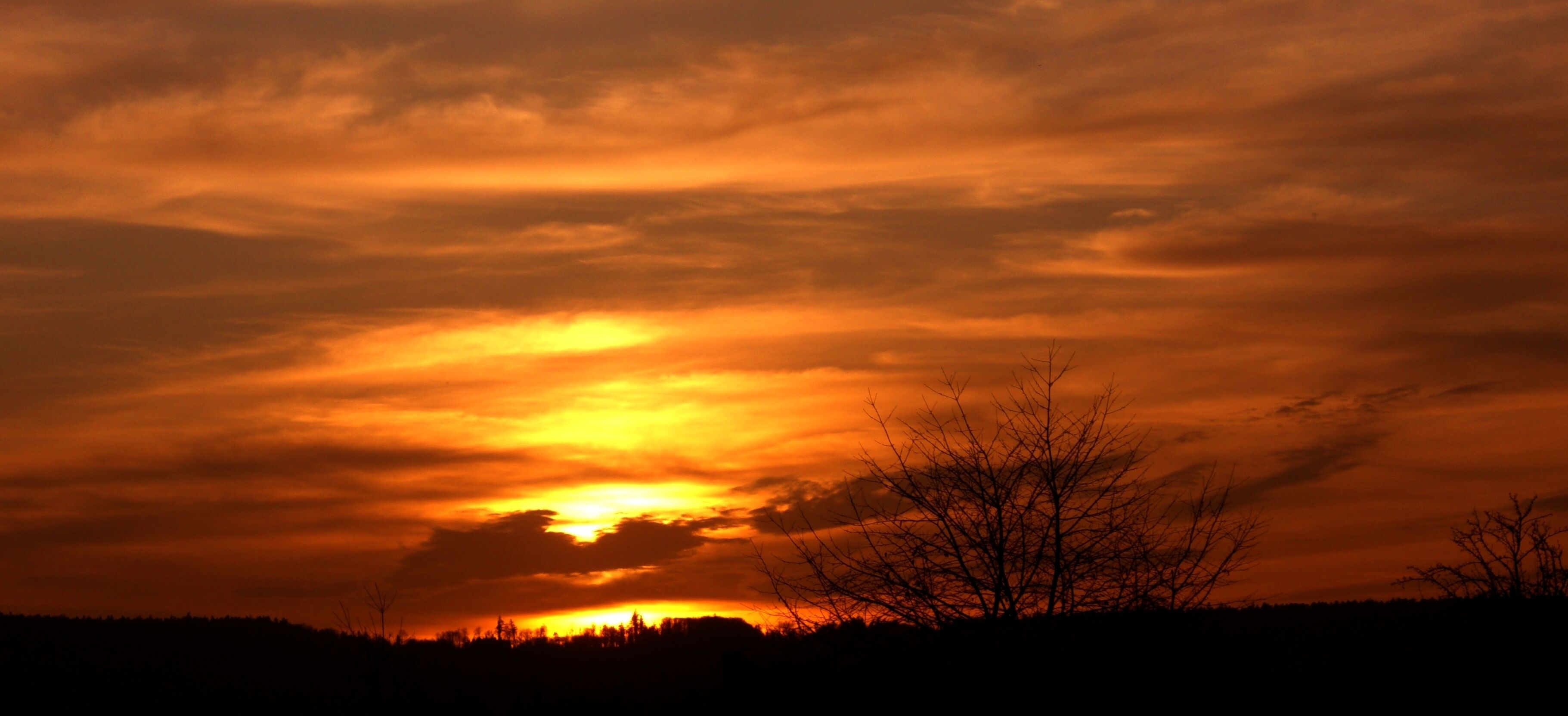 Sunset In Late Autumn