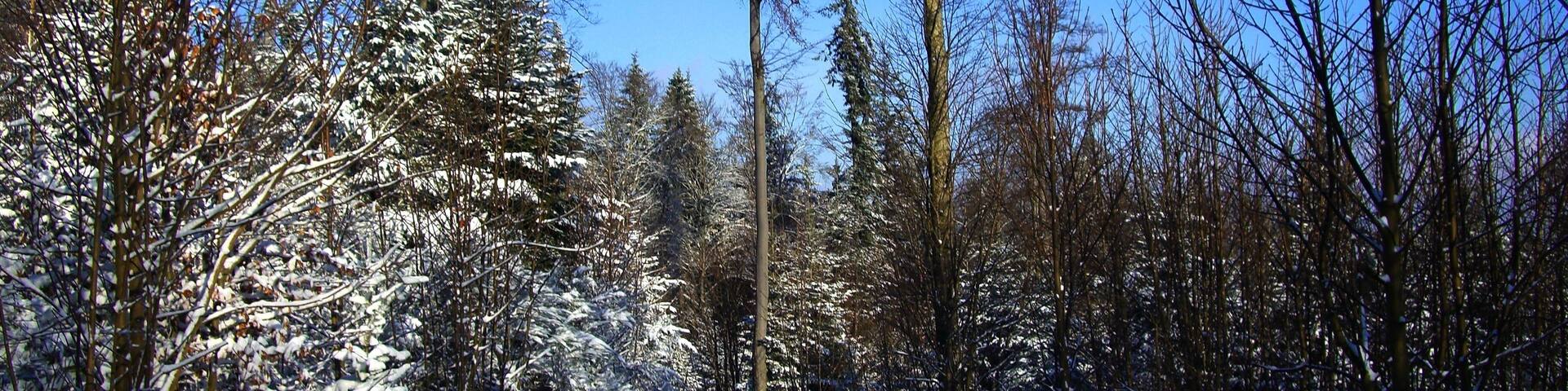 Best Weather In Winter