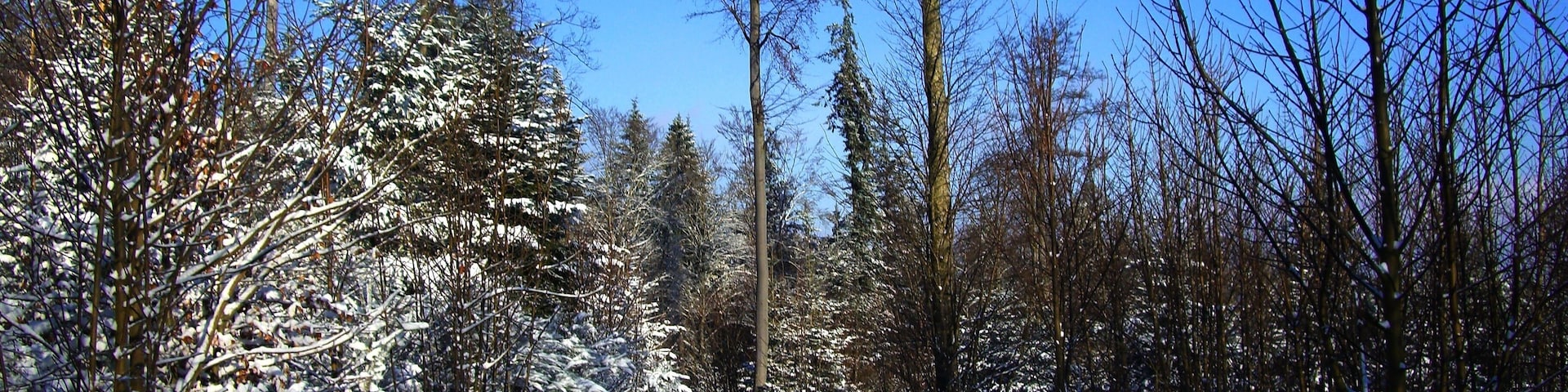 Best Weather In Winter