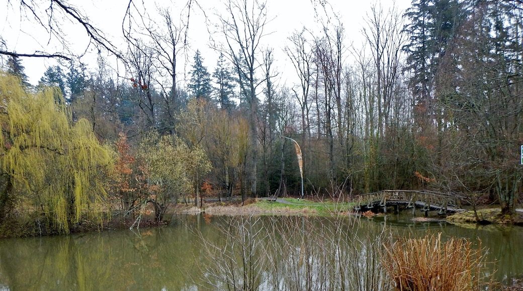 See beim Seehaus Pforzheim