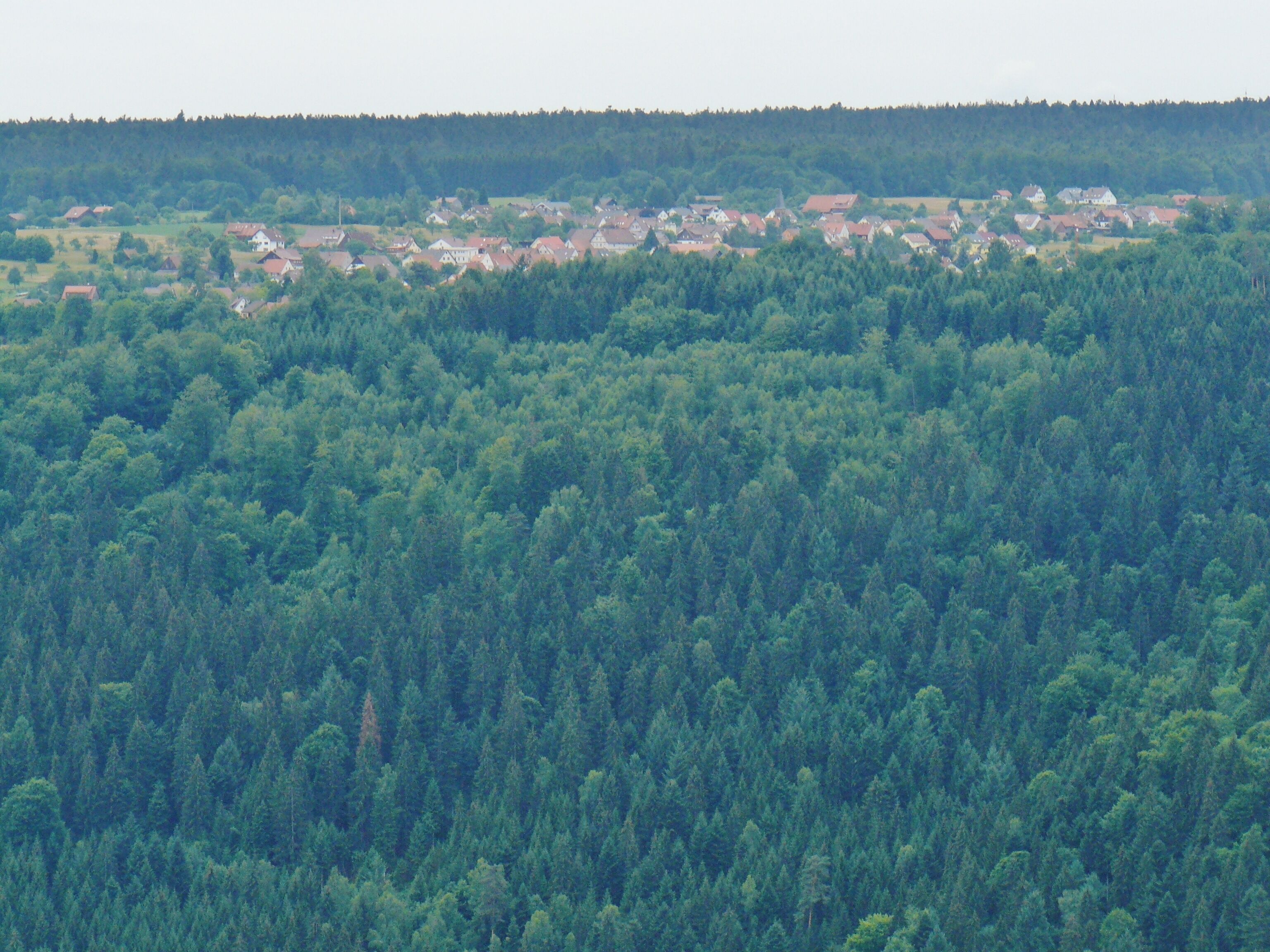 Aussicht Richtung Schömberg vom Aussichtsturm Hohe Warte