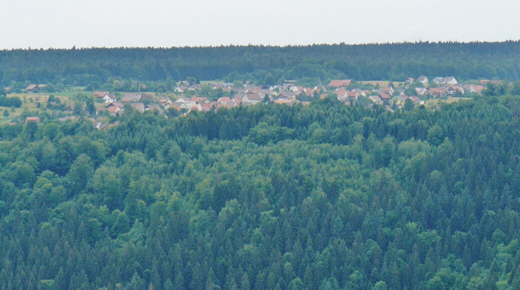 Aussicht Richtung Schömberg vom Aussichtsturm Hohe Warte