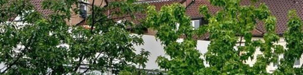 Bezirksamtsturm -Teleblick von der Schloßkirche