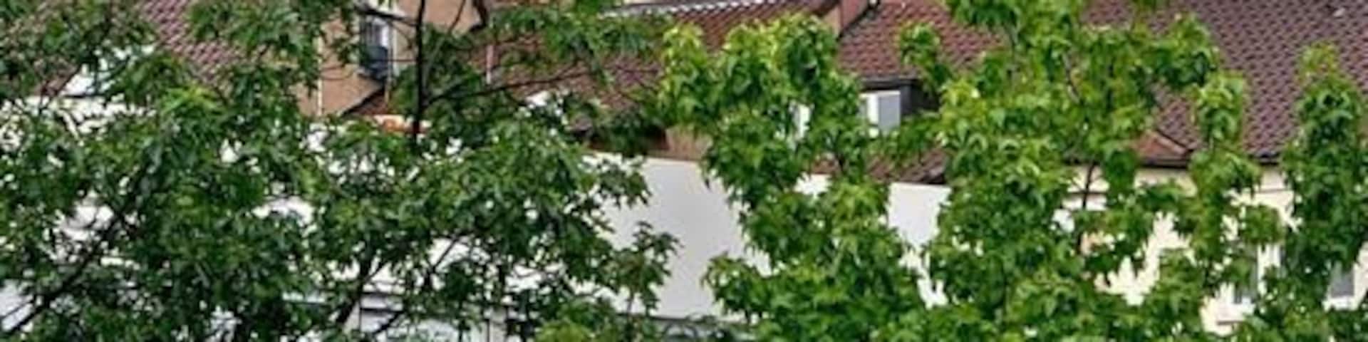 Bezirksamtsturm -Teleblick von der SchloĂkirche