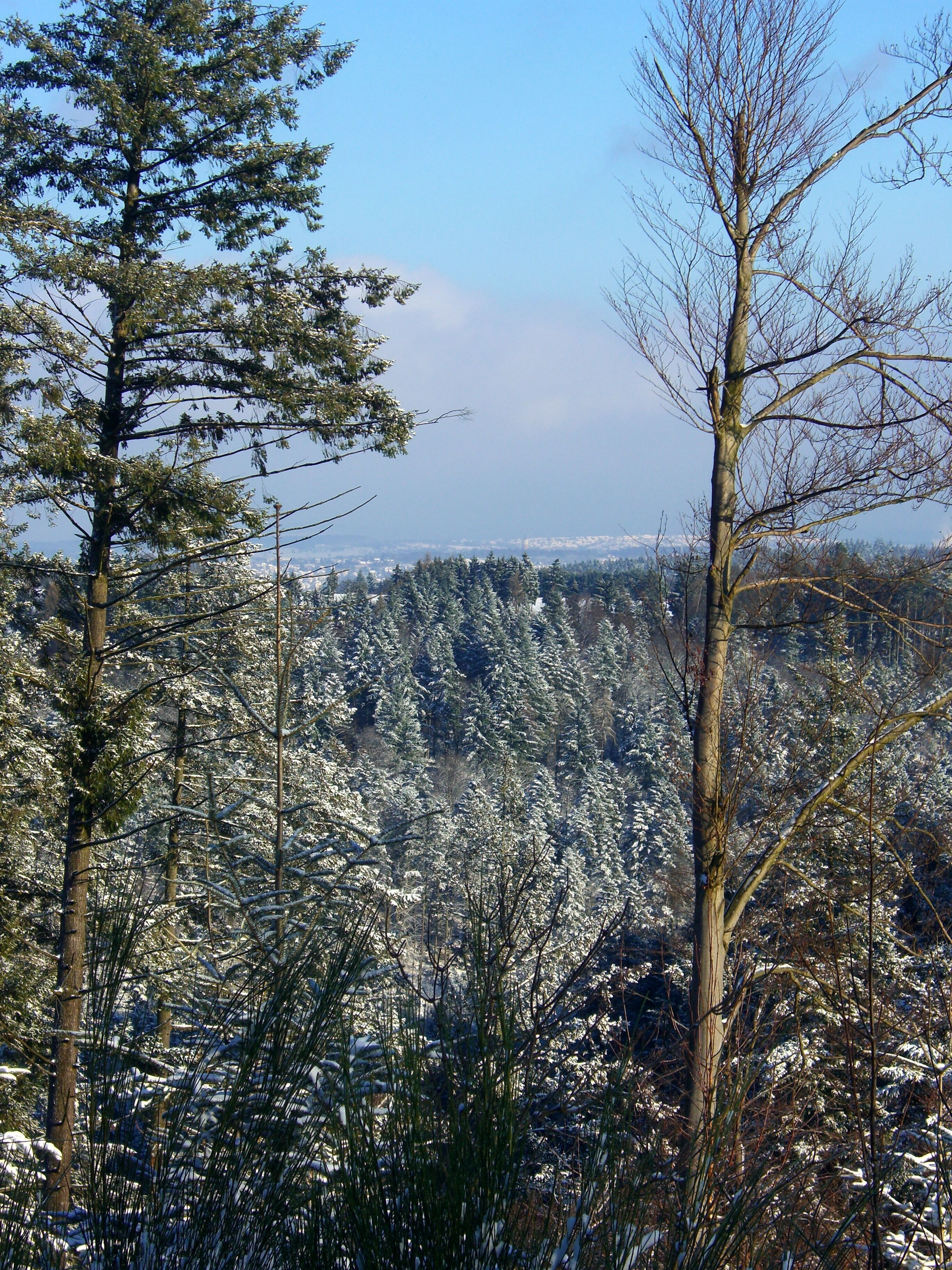 Overnight Was Fallen Snow