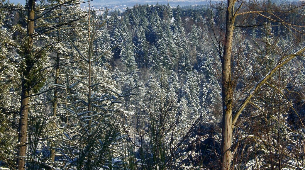 Overnight Was Fallen Snow