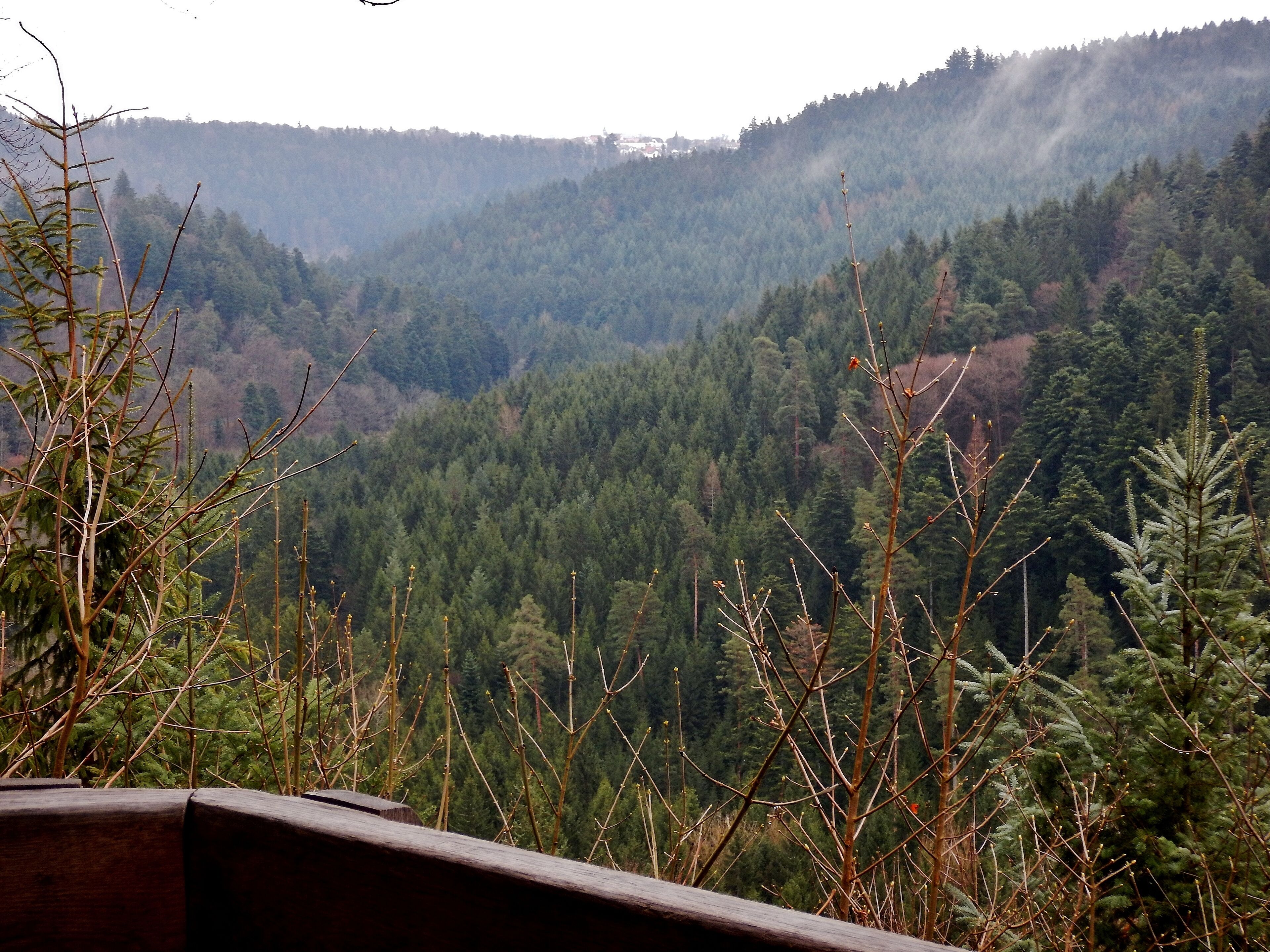 Ausblick von der Schutzhütte Öchsle-Pavillon in das Würmtal