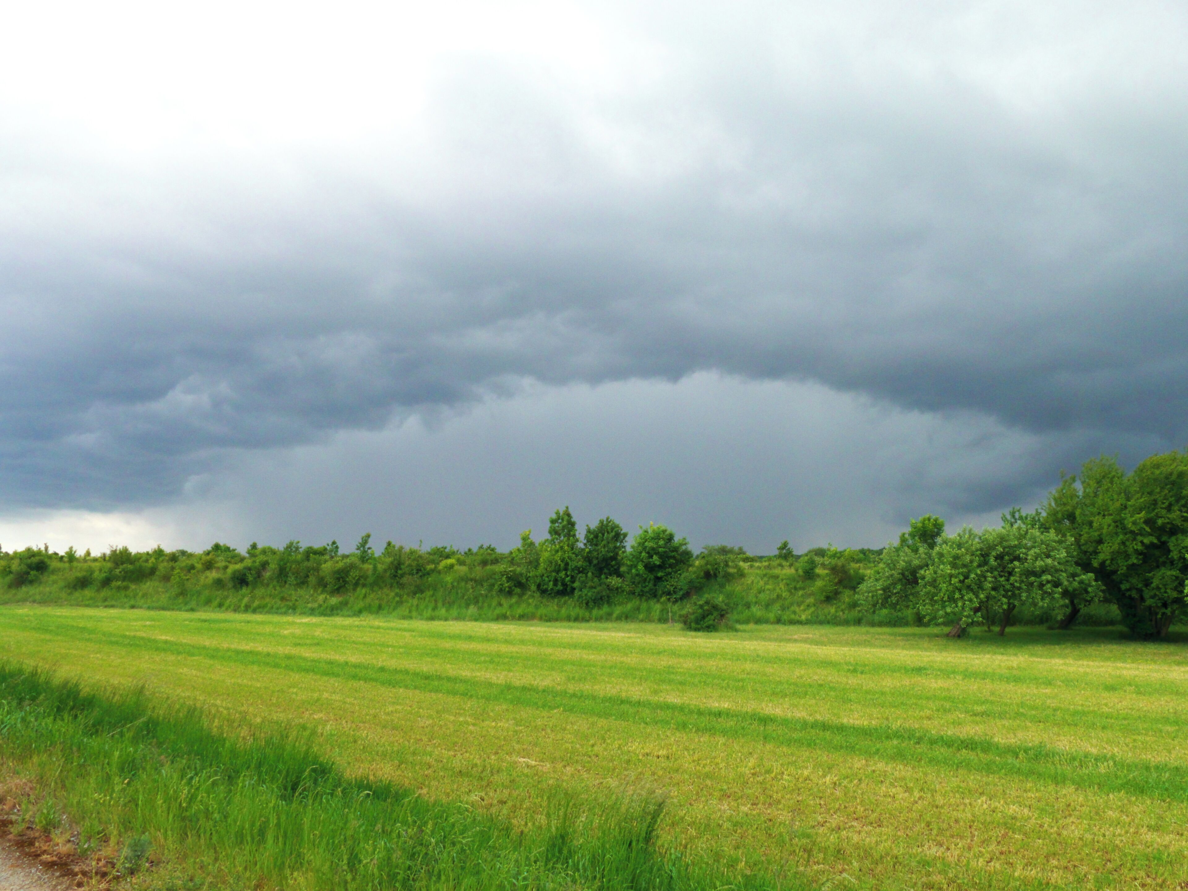 I've Got The Shower Too.