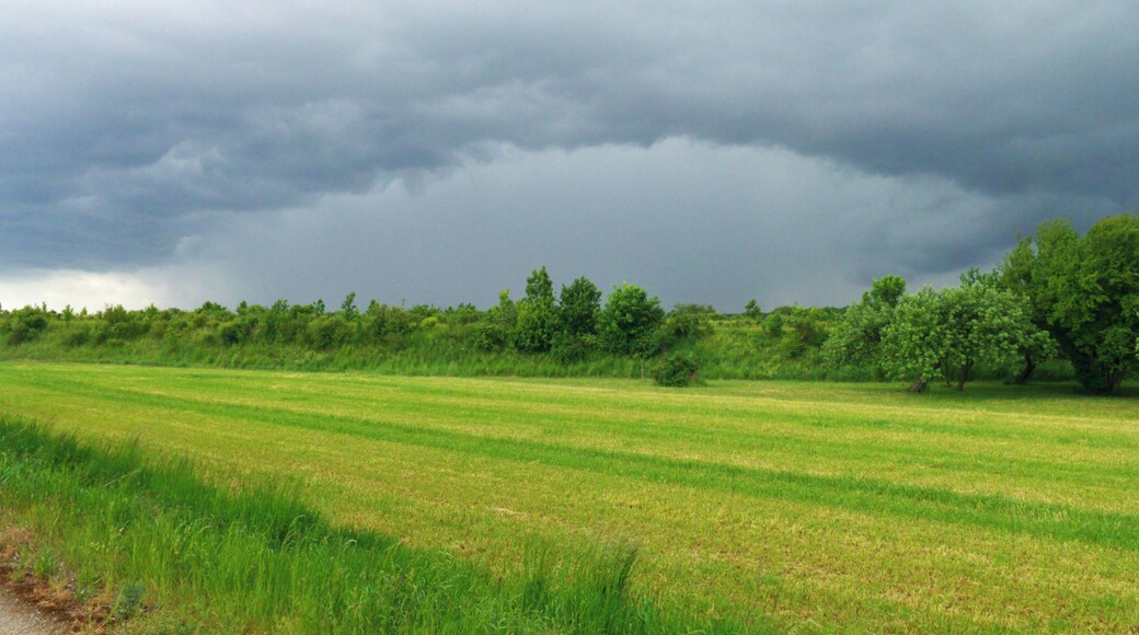 I've Got The Shower Too.
