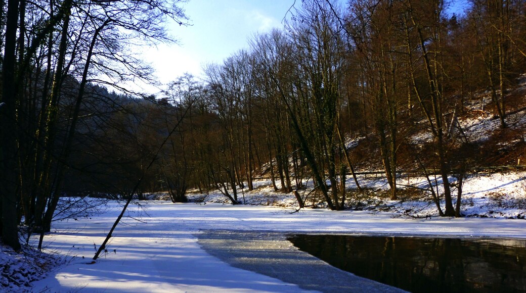 Die Nagold bei Unterreichenbach, Winterbild