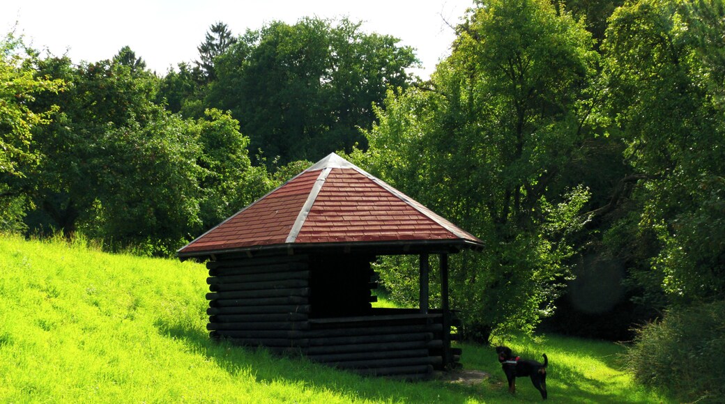 Hut And Dog
