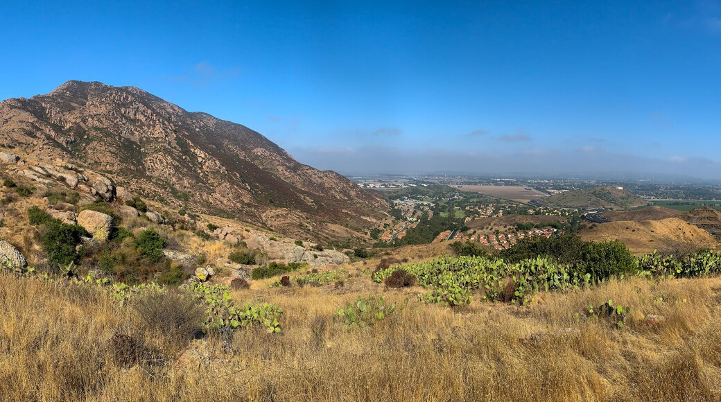 Paisaje montañoso con pasto seco, cactus y zonas urbanas a lo lejos.