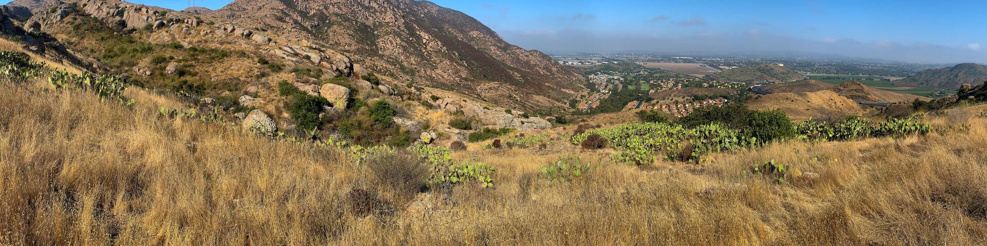 A mountainous landscape with dry grass, cacti, and distant urban areas.
