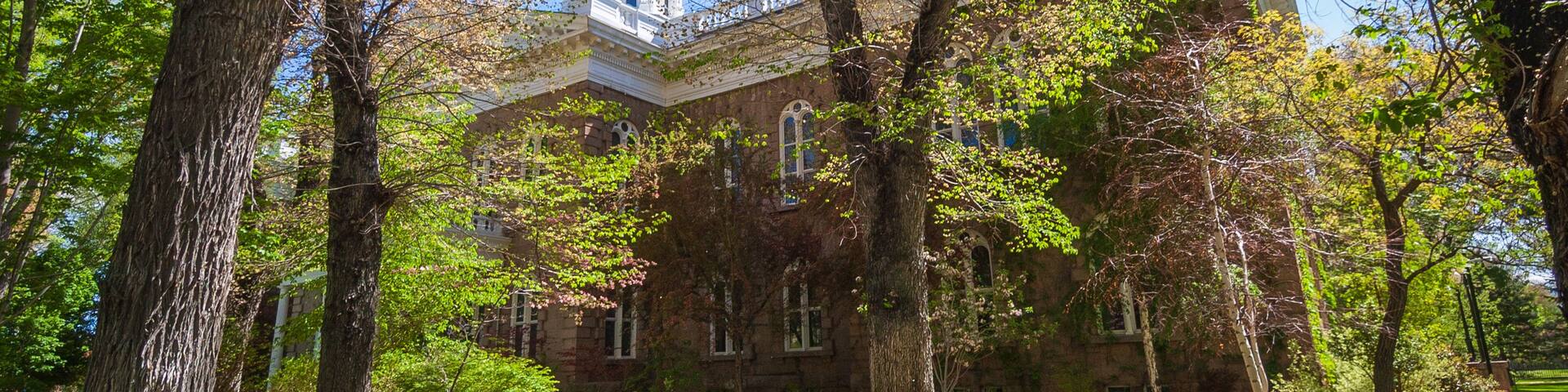 A pathway leading to a large building with a tower, surrounded by trees and grass.