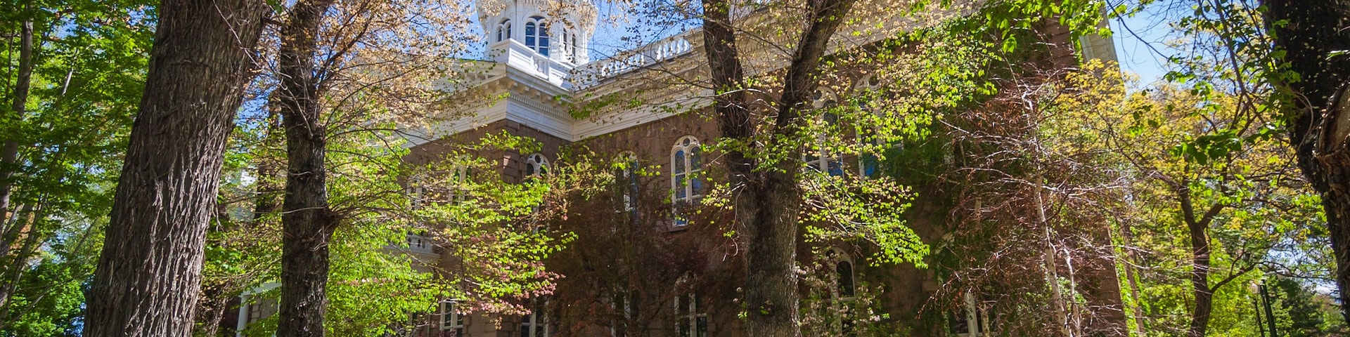 A pathway leading to a large building with a tower, surrounded by trees and grass.