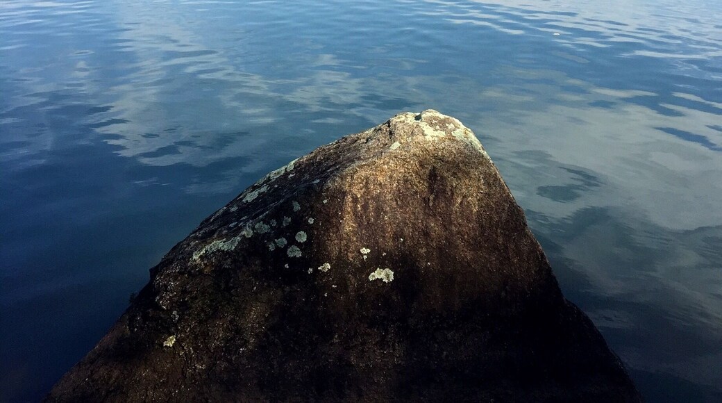Lake Norman, Huntersville, NC. Launch kayak from Launch #1 at Latta Plantation just past equestrian center. Includes kayak launch ramps. Beautiful fall colors this week and wide open spacious area to kayak without a lot of power boats. Great views and lots of large boulders.