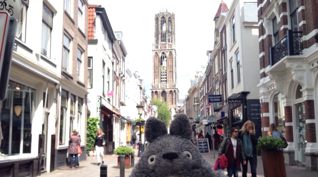 This gothic tower has a story: for 300 years it had been part of a cathedral which was never completed due to lack of money, and then the unfinished part collapsed during the hurricane. So now Utrecht has this beautiful tower and the enormous cathedral of St Martin standing separately from each other and a nice square between them! #utrecht #holland #domtoren #architecture #travel #cathedral #history #Netherlands