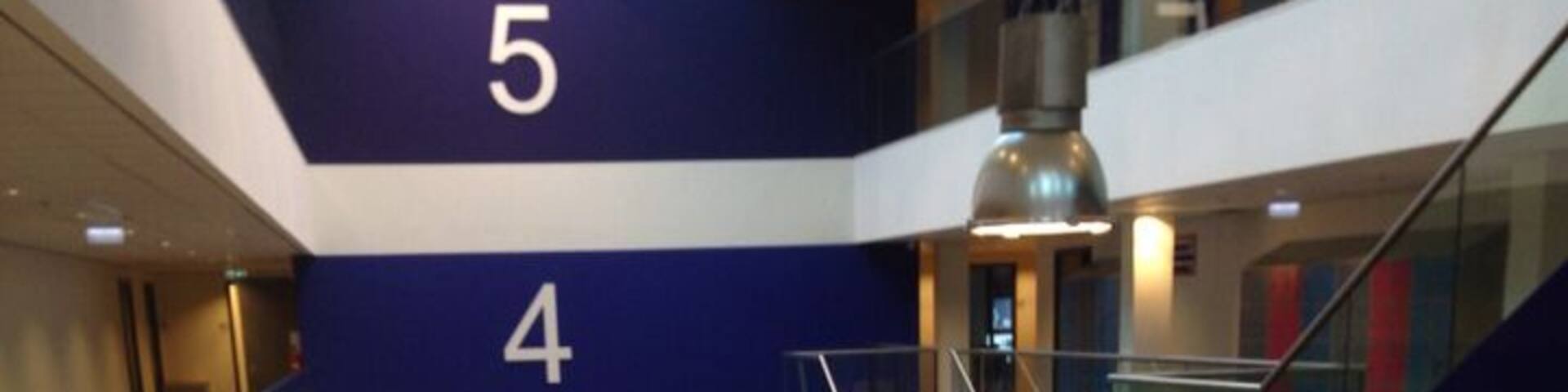 The interior designers just want to make sure the students know how to count.