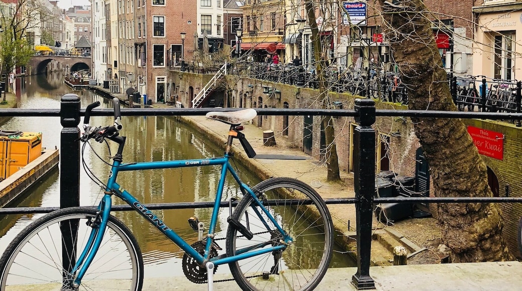 I just love this city! Third time here and I still marvel at all the bridges & bikes and the bookstores and cafes and and and...