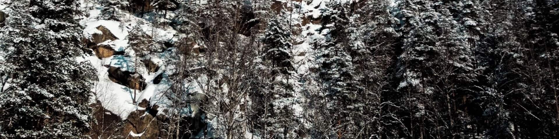 Headed out at 3am this Monday morning to the National Park, it was about -12 degrees celsius at the moment with a windchill making it -20