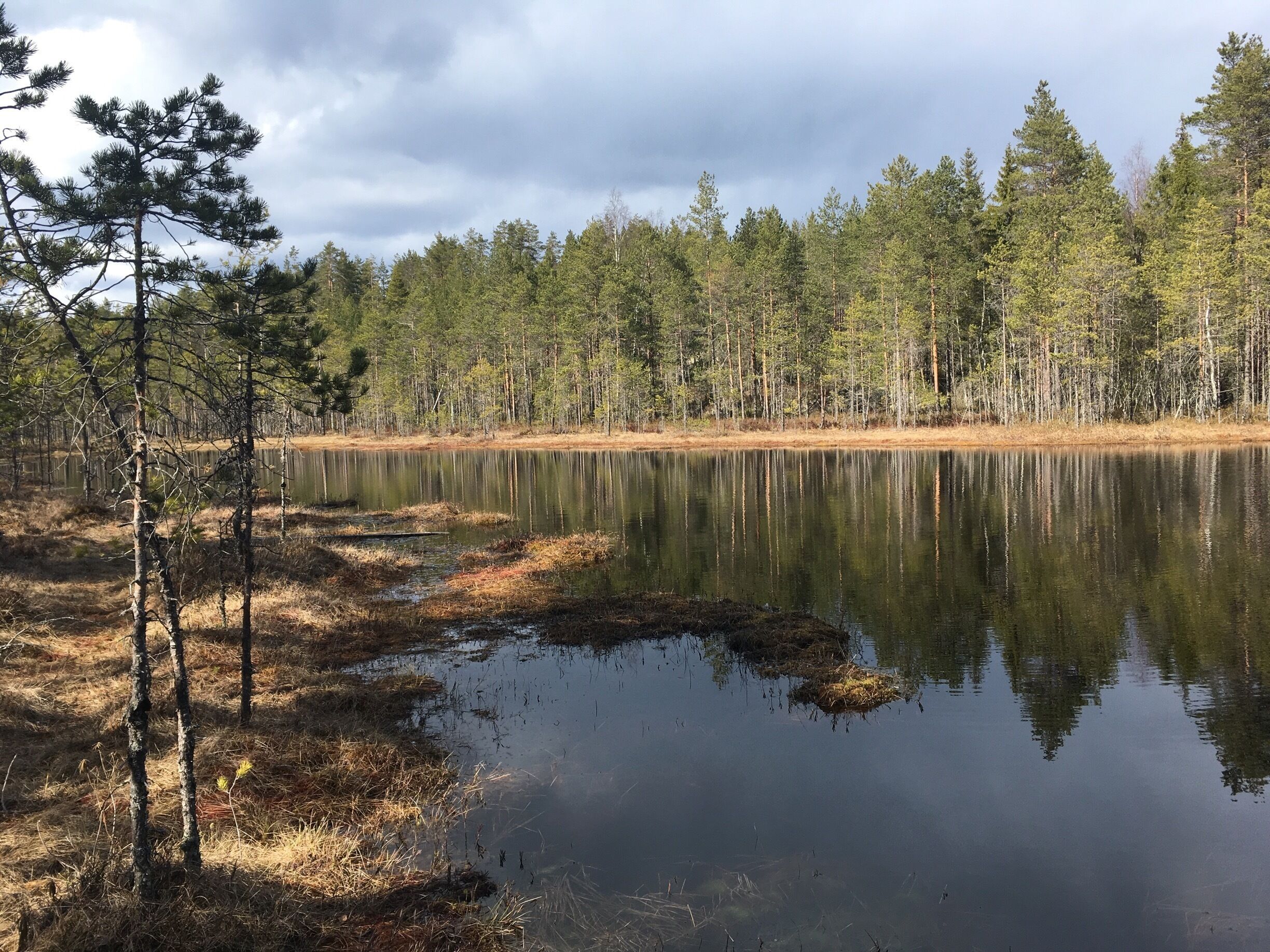 Reflections of nature