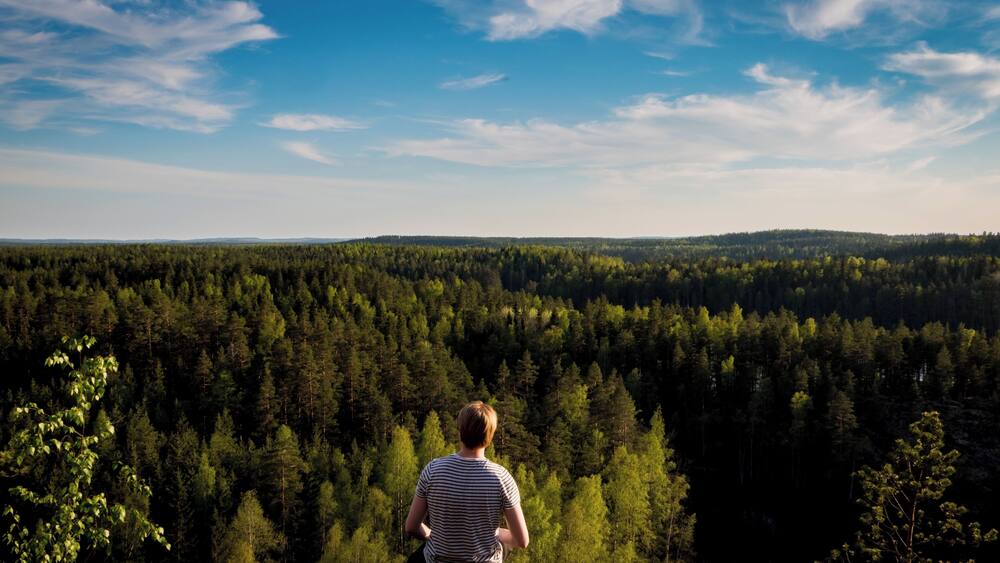Golden hour at Katajavuori