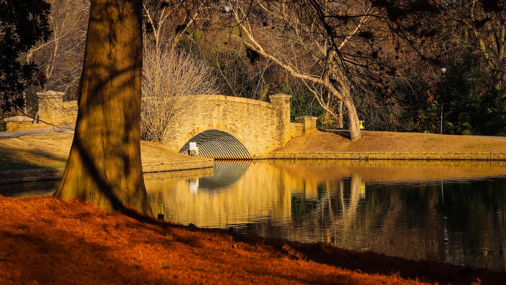 a gorgeous shot of a still lake in the park with beautiful autumn colored trees, a cobble stone bridge over the lake and hillside covered with red pine needles at Freedom Park in Charlotte