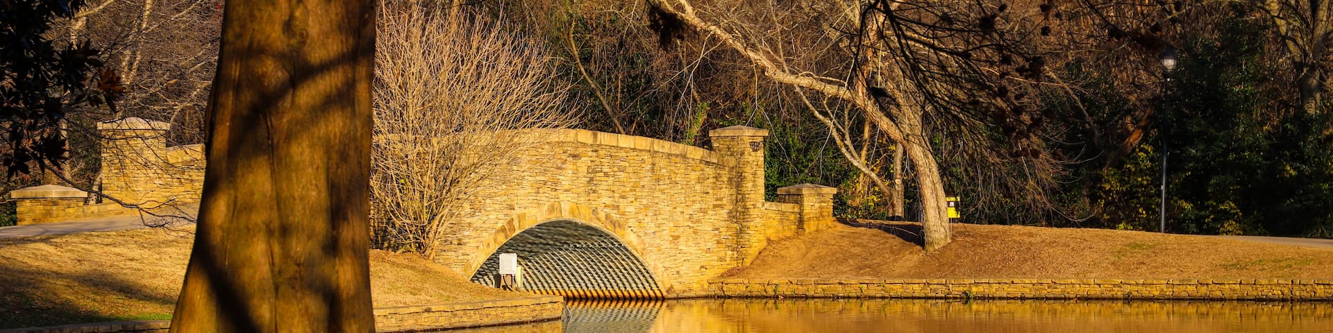 a gorgeous shot of a still lake in the park with beautiful autumn colored trees, a cobble stone bridge over the lake and hillside covered with red pine needles at Freedom Park in Charlotte