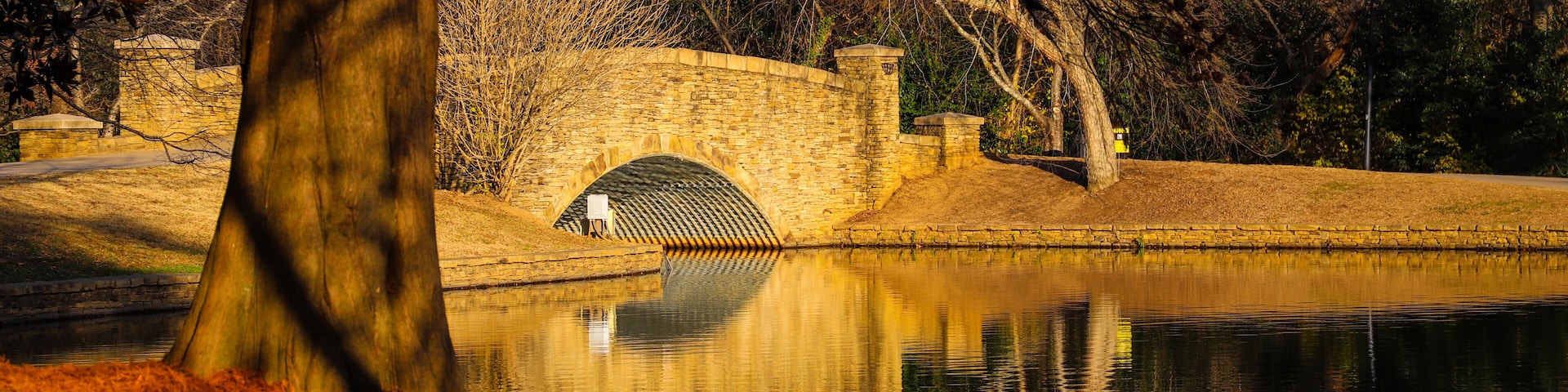 a gorgeous shot of a still lake in the park with beautiful autumn colored trees, a cobble stone bridge over the lake and hillside covered with red pine needles at Freedom Park in Charlotte