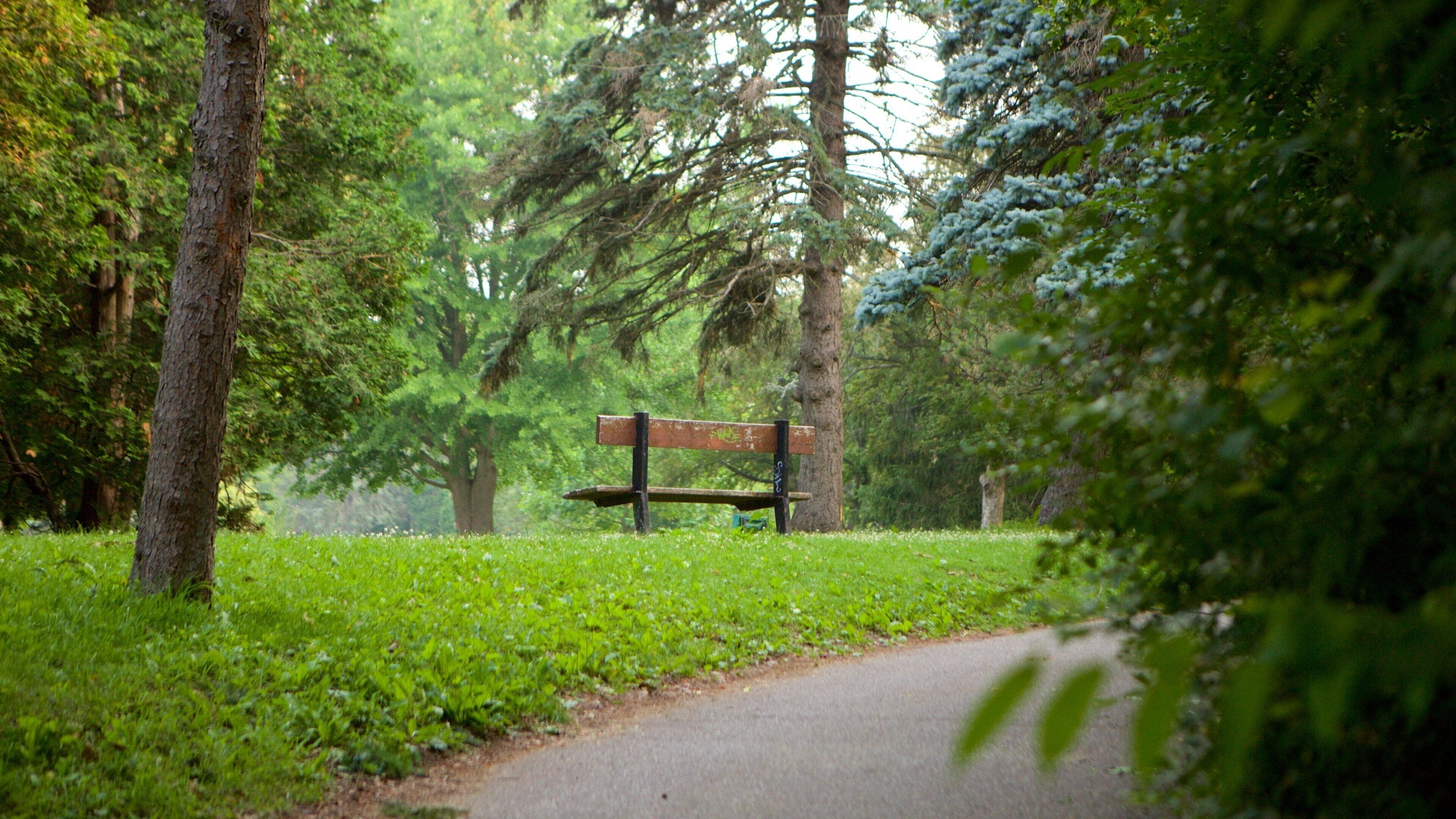 A park with a bench surrounded by trees and a path.