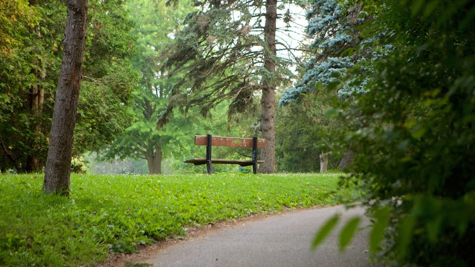 Un parco con una panchina circondata da alberi e un sentiero.