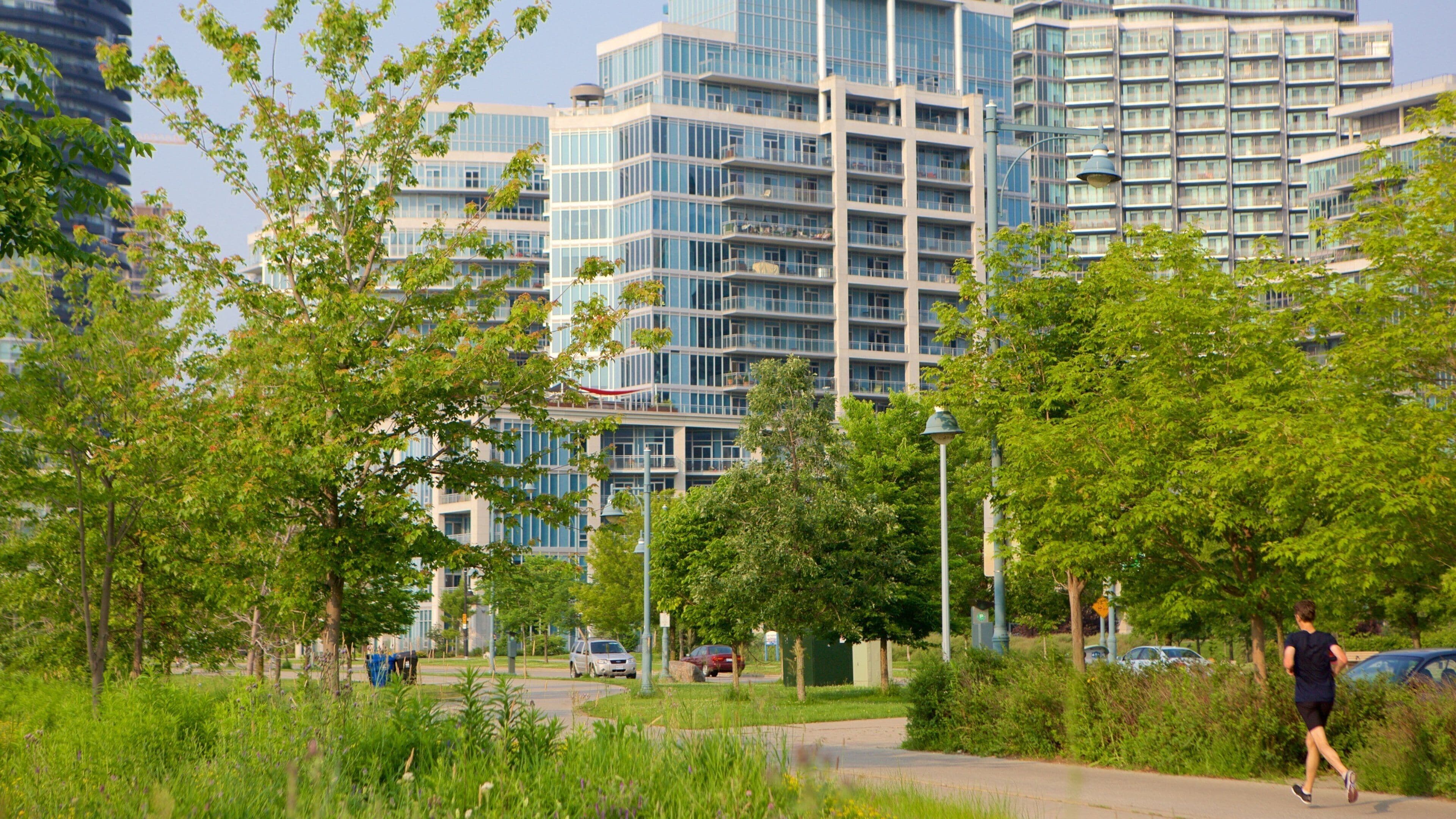 Etobicoke fasiliteter samt by og hage i tillegg til en kvinne